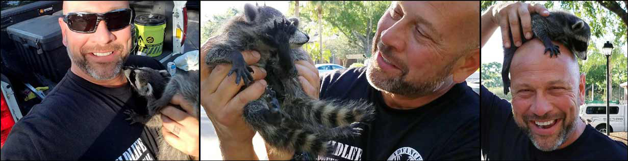 trapper joe holding a caught raccoon